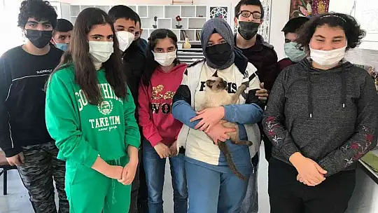 Kedi 'Helva' okulun maskotu oldu