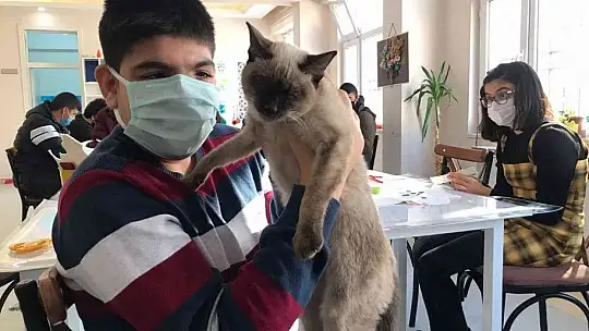 Kedi 'Helva' okulun maskotu oldu
