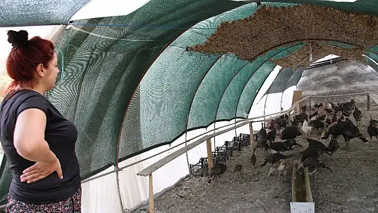 Kendi çiftliğini kurdu, bir yılda 200 bin adet tavuk ve hindi satışı yaptı
