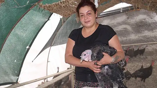 Kendi çiftliğini kurdu, bir yılda 200 bin adet tavuk ve hindi satışı yaptı