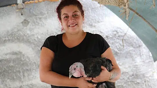 Kendi çiftliğini kurdu, bir yılda 200 bin adet tavuk ve hindi satışı yaptı