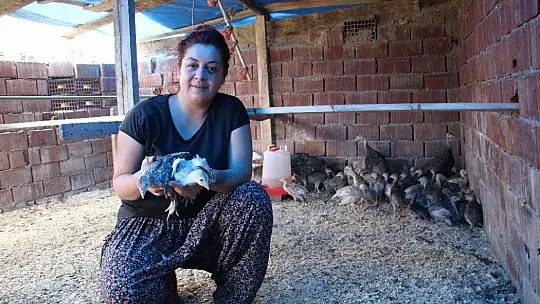 Kendi çiftliğini kurdu, bir yılda 200 bin adet tavuk ve hindi satışı yaptı
