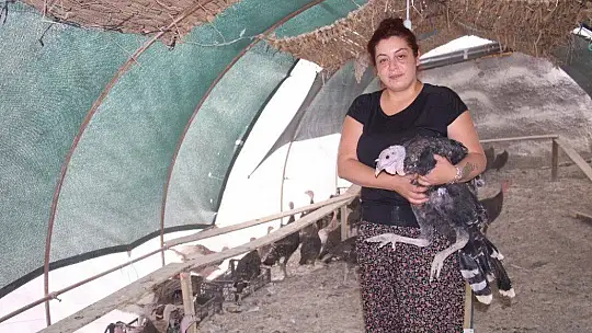 Kendi çiftliğini kurdu, bir yılda 200 bin adet tavuk ve hindi satışı yaptı