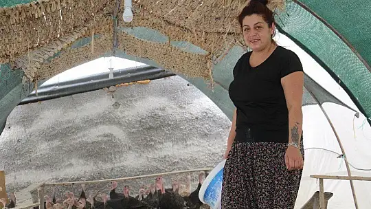Kendi çiftliğini kurdu, bir yılda 200 bin adet tavuk ve hindi satışı yaptı