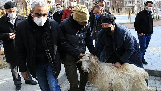 Kentsel dönüşümle evlerine kavuştular, başkanı davullu zurnalı karşıladılar
