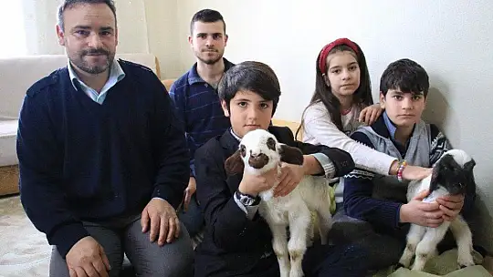 Kış Günü Doğan Kuzulara Soba Kenarında Bakılıyor
