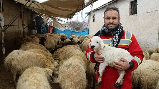 Kış Günü Doğan Kuzulara Soba Kenarında Bakılıyor