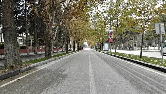 Kısıtlamalar sonuç verdi Elazığ'da vaka oranı yüzde 70 düştü