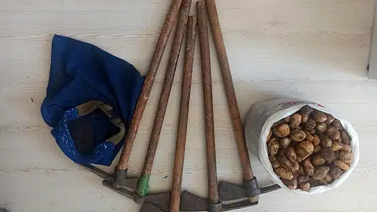 Kısıtlamayı ihlal edip, salep soğanı toplayan 5 kişi 419 bin 690 TL ceza yedi