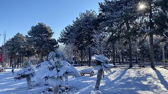 Elazığ Güne Karla Uyandı