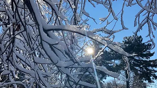 Elazığ Güne Karla Uyandı