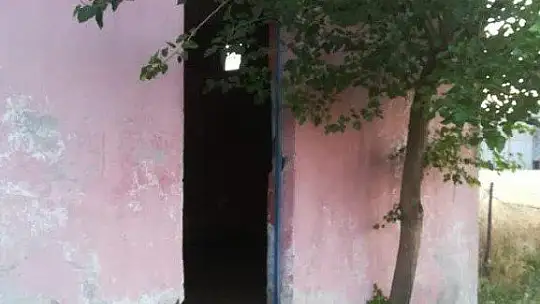 Koku gelince ortaya çıktı, kayıp hayvanlar 11 gün sonra halı sahada bulundu 1'i telef oldu