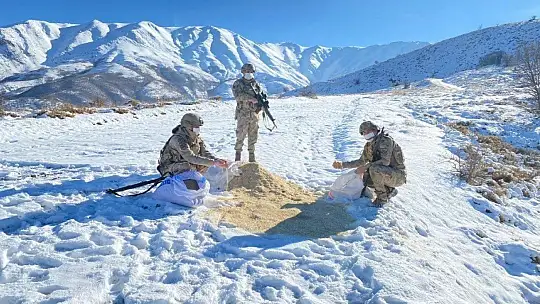 Komandolar, doğaya yem bıraktı