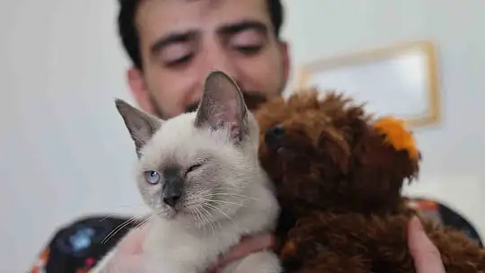 Köpek ile kedinin dostluğu görenleri hayretler içerisinde bırakıyor