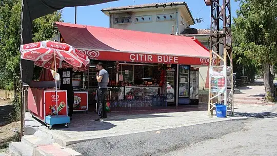 Köpeklere kedi saldırdı, o anlar güvenlik kamerasına yansıdı