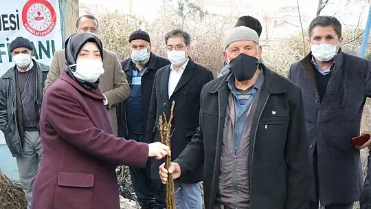 Kovancılar'da 5 bin 500 meyve fidanı dağıtıldı