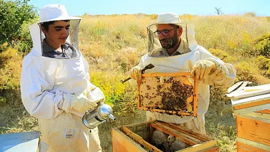 Köy hayatını seçti, markalaşan hobisi ile Avrupa'ya bal ihracatına geçti