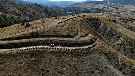 Köy hayatını seçti, markalaşan hobisi ile Avrupa'ya bal ihracatına geçti