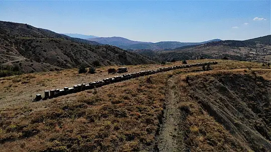 Köy hayatını seçti, markalaşan hobisi ile Avrupa'ya bal ihracatına geçti