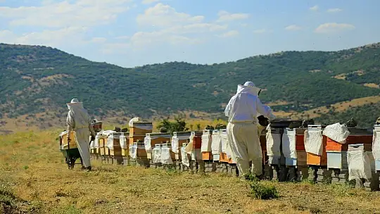 Köy hayatını seçti, markalaşan hobisi ile Avrupa'ya bal ihracatına geçti