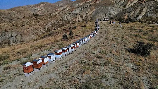 Köy hayatını seçti, markalaşan hobisi ile Avrupa'ya bal ihracatına geçti