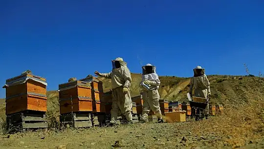 Köy hayatını seçti, markalaşan hobisi ile Avrupa'ya bal ihracatına geçti