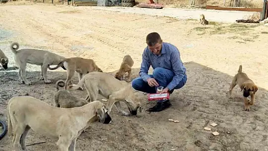 Köy muhtarının hayvan sevgisi: Çeyrek asırdır sahipsiz köpekleri besliyor