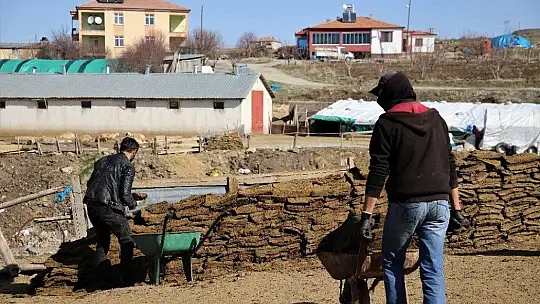 Köylerde 'Tezek' mesaisi