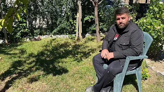 Kuluçkaya yatan horoz civcivlere annelik yapıyor