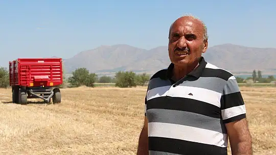 Kuraklık hasadı başlayan buğdayı da vurdu, rekolte yüzde 70'lere kadar düştü