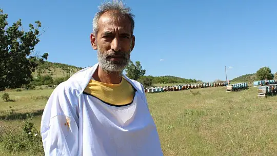 Kuraklık ve toz taşınımı arıcıları vurdu, son 10 yılın en kötü sezonu