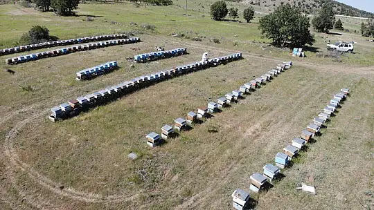 Kuraklık ve toz taşınımı arıcıları vurdu, son 10 yılın en kötü sezonu