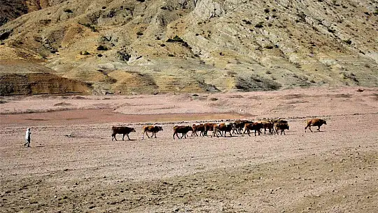 Kuraklık vurdu, baraj çöle döndü