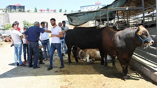 Kurban Pazarında 3'üncü gün yoğunluğu