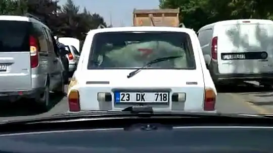 Kurbanlık koyunu otomobilin bagajında böyle taşıdı