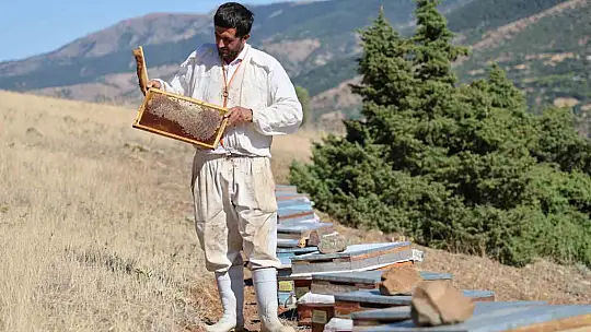 Küresel ısınma arıcıları vurdu, rekoltede bin tondan 500 tona düştü