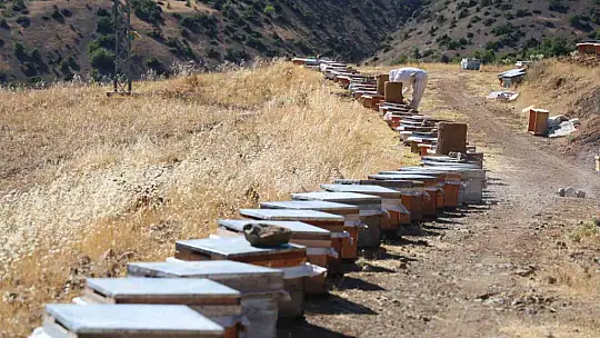 Küresel ısınma arıcıları vurdu, rekoltede bin tondan 500 tona düştü