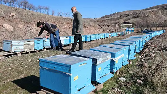 Küresel ısınma arıları da uyutmadı, tehlike kapıda