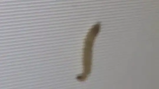 Kurtçuk televizyon ekranının içine yuva yaptı..