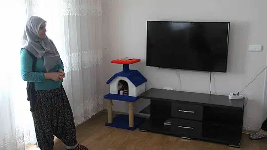Kurtçuk televizyon ekranının içine yuva yaptı..