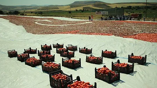Kurutmalık domateslerle hem Elazığ haritası, hemde ay-yıldız oluşturuldu