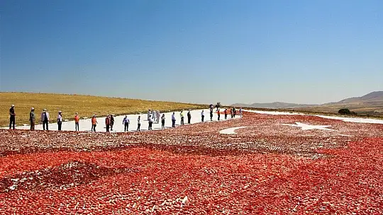 Kurutmalık domateslerle hem Elazığ haritası, hemde ay-yıldız oluşturuldu