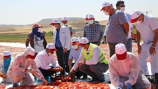 Kurutmalık domateslerle hem Elazığ haritası, hemde ay-yıldız oluşturuldu