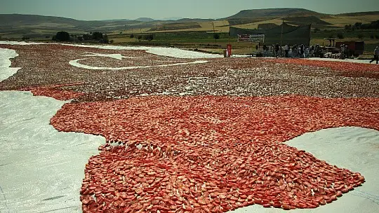 Kurutmalık domateslerle hem Elazığ haritası, hemde ay-yıldız oluşturuldu
