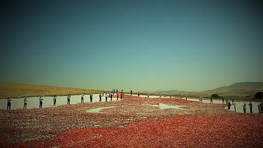 Kurutmalık domateslerle hem Elazığ haritası, hemde ay-yıldız oluşturuldu