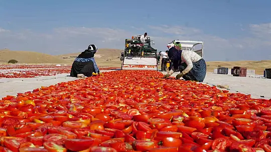 Kurutmalık domateslerle Türkiye haritası oluşturulup 'Türkiye Yüzyılı' yazıldı