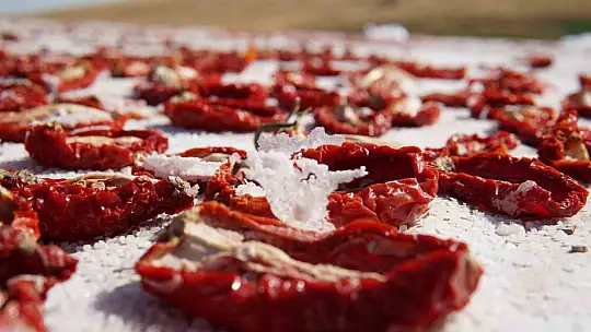 Kurutmalık domateslerle Türkiye haritası oluşturulup 'Türkiye Yüzyılı' yazıldı