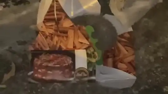 Kutudaki pastaya dadanan kirpi kameraya yakalandı