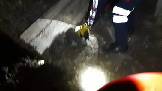 Kuyuya düşen köpek ve yavrusunu itfaiye ekipleri kurtardı