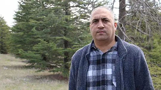 Kuzey Amerika kökenli istilacı böcek, Doğa Anadolu'ya giriş yaptı